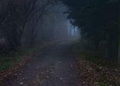 Per Bak Jensen: The Road